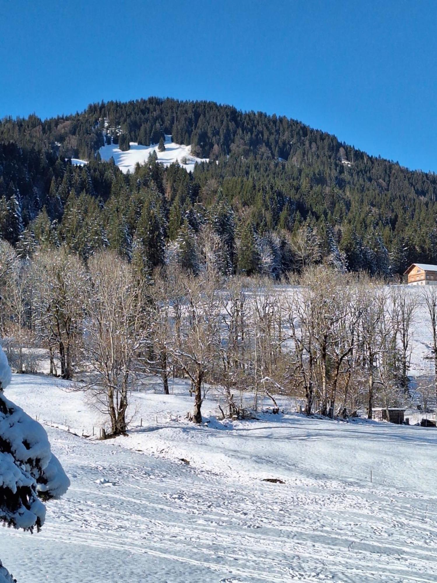 Appartement Bergliebe à Kierwang Extérieur photo